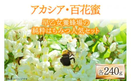 ハチミツセット 240g×2種 [レークサイド桜岡 北海道 剣淵町 14656225] はちみつ ハチミツ 蜂蜜 ハニー 国産  国産はちみつ 純粋はちみつ アカシア 百花蜜