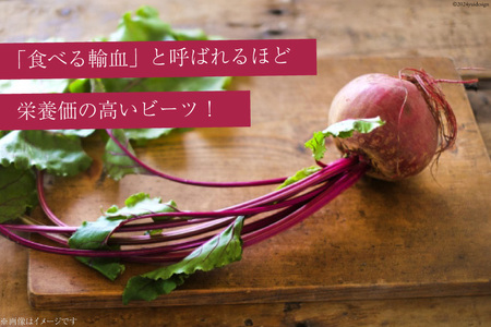 【期間限定発送】【下茹で済み】 ビーツ 野菜 レトルト 200g 2袋 計400g [VIVAマルシェ 北海道 剣淵町 14656311]