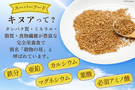 スーパーフード！ 北海道 けんぶち産 焙煎キヌア 500g 1袋 [VIVAマルシェ 北海道 剣淵町 14656309-c]