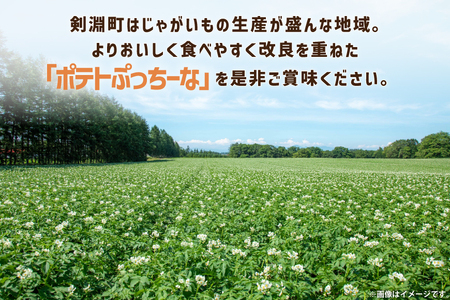 【期間限定発送】 ポテトチップス うすしお 100g 12袋入 2箱 計24袋 2.4kg ポテトぷっちーな [クレヨン農園 北海道 剣淵町 14656349]