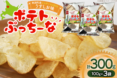 ポテトチップス ポテトぷっちーな 100g×3袋 計300g [レークサイド桜岡 北海道 剣淵町 14656353] 