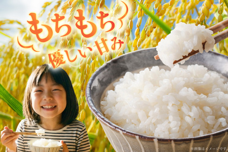 【優秀金賞】 米 令和7年 ゆめぴりか 5kg [笹田ファーム 北海道 剣淵町 14656369]