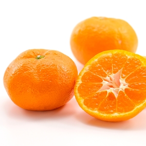 【期間限定】蒲郡みかん「青島みかん」約5kg_【G0330】