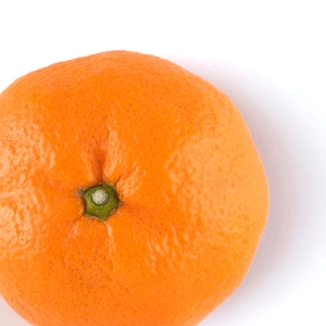 【期間限定】蒲郡みかん「青島みかん」約5kg_【G0330】