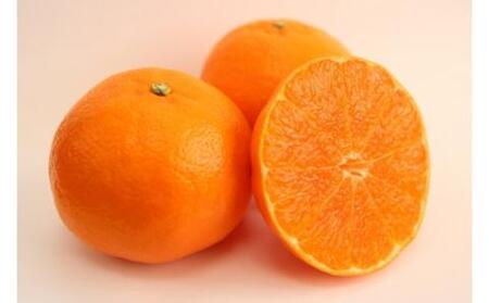 【期間限定】蒲郡みかん詰め合わせ 約2kg_【G0357】