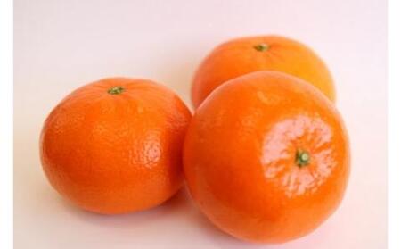 【期間限定】蒲郡みかん詰め合わせ 約2kg_【G0357】