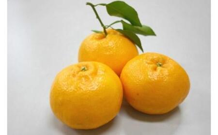 【期間限定】蒲郡みかん詰め合わせ 約2kg_【G0357】