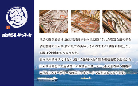 【愛知県三河産】天ぷら用海鮮ひらき4種(53尾)セット盛り_【G0651】