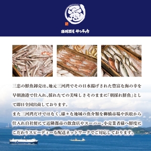 【愛知県三河産】ボイル天然トリ貝 小(9枚入×3パック)_【G0656】