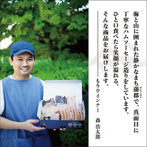 もりウインナー　ハム・ソーセージ詰め合わせ　ビーフジャーキー入り 6点セット_【G0685】