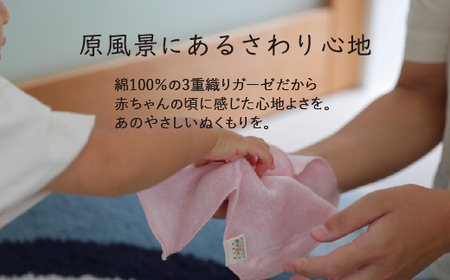 三河木綿 3重織り ガーゼハンカチ 5色セット_【G0308】