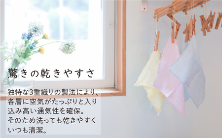 三河木綿 3重織り ガーゼハンカチ 5色セット_【G0308】