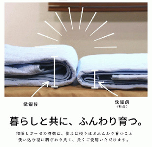 三河産　綿100％使用和晒し　脱脂綿　敷パット　Ｓサイズ_みずいろ【G0496】