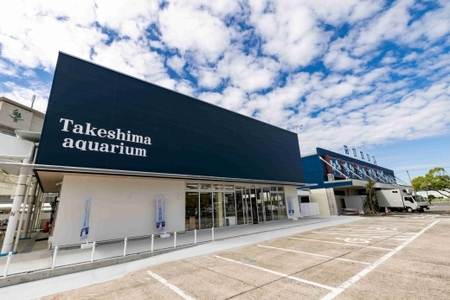 竹島水族館 NAMIKO 生物絵画の複製画_【G0729】