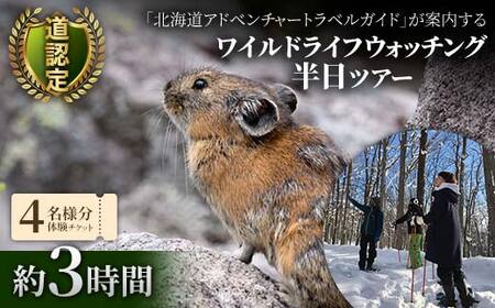道認定「北海道アドベンチャートラベルガイド」が案内するワイルドライフウォッチング半日ツアー 【4名様分体験チケット】 約3時間 F6S-047