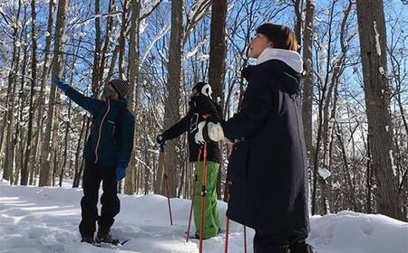 道認定「北海道アドベンチャートラベルガイド」が案内するワイルドライフウォッチング半日ツアー 【4名様分体験チケット】 約3時間 F6S-047