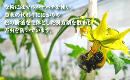 有機栽培トマトジュース ゆうきくん 15缶 食絶景北海道×ゼロカーボンアワード2023優秀賞 トマト ジュース 飲料 完熟 有機栽培 ロングセラー F6S-417