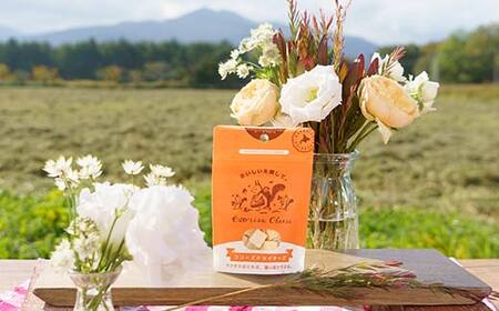 フリーズドライチーズ10点セット 北のハイグレード食品 おつまみ 詰め合わせ 珍味 スナック 保存食 グルメ F6S-532