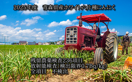 青森県産ホワイト六片種にんにく 1kg 中・小玉 (贈答用)【1656878】