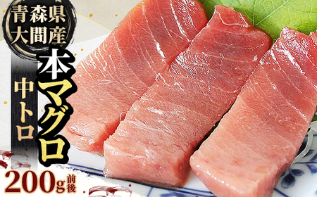 大間産本マグロ 中トロ 200g前後(約2人前)【配送不可地域：離島】【1657763】