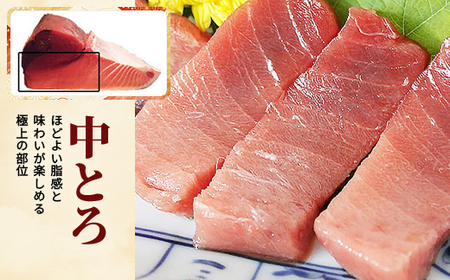 大間産本マグロ 中トロ 200g前後(約2人前)【配送不可地域：離島】【1657763】