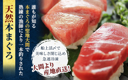 大間産本マグロ 中トロ 200g前後(約2人前)【配送不可地域：離島】【1657763】