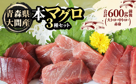 大間産本マグロ 3種セット(大トロ・中トロ・赤身) 合計600g前後【配送不可地域：離島】【1657767】