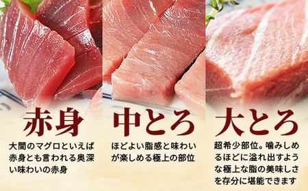 大間産本マグロ 3種セット(大トロ・中トロ・赤身) 合計600g前後【配送不可地域：離島】【1657767】