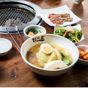 ぴょんぴょん舎 盛岡冷麺スペシャル4食セット_麺 _【配送不可地域:離島】【1551031】