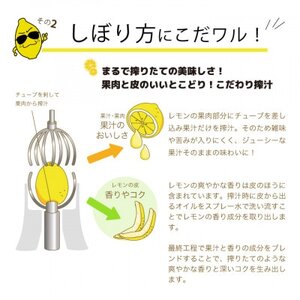 ★あさ開★レモンサワーの素「ちょいワルれもん」500ml×2本_酒・アルコール リキュール・洋酒  _【1559966】