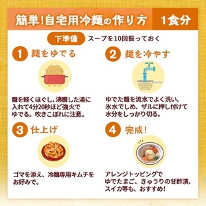 ぴょんぴょん舎　盛岡冷麺4食ギフト_麺   _【配送不可地域：離島】【1156291】