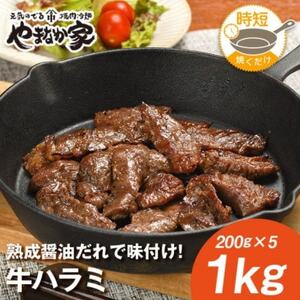 やまなか家の旨みたっぷり牛ハラミ【熟成醤油だれ】1kg(K2-025)_肉 焼肉 牛肉 やきにく ヤキニク バーベキュー_【配送不可地域：離島】【1405431】