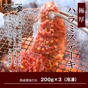 肉厚牛たん(タン元)500gと牛ハラミステーキ600g(K6-032)【配送不可地域：離島】【1405513】