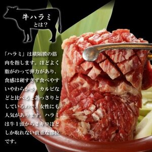 肉厚牛たん(タン元)500gと牛ハラミステーキ600g(K6-032)【配送不可地域：離島】【1405513】