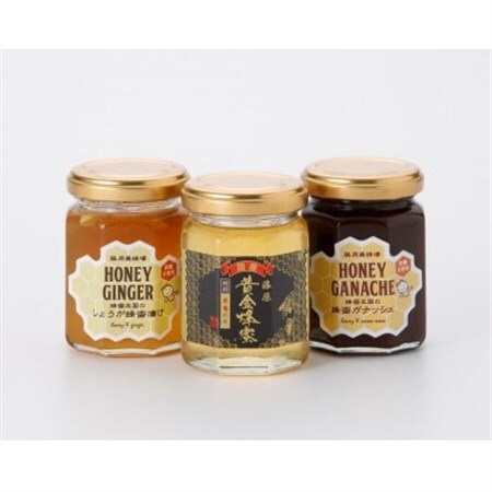 藤原黄金蜂蜜「栃」・ハニージンジャー・蜂蜜ガナッシュ　160g×3本セット_調味料 はちみつ  ハチミツ 蜂蜜_【1411534】