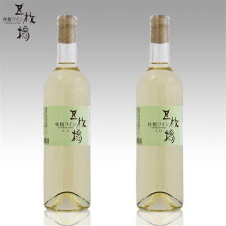 五枚橋ワイナリーのふじ林檎ワイン2本セット_酒・アルコール  ワイン _【1413312】