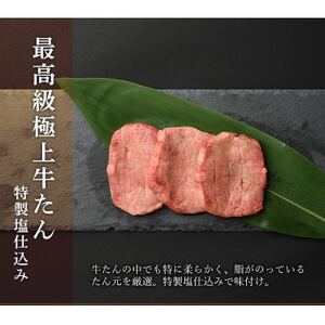 やまなか家の本場盛岡冷麺・厳選牛たんセット!(G-016)【配送不可地域：離島】【1414265】