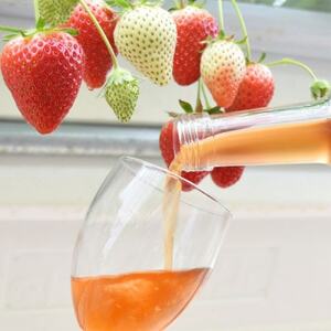 山元いちご農園 いちごワイン 愛苺(まないちご) 720ml_酒・アルコール  ワイン _【1378830】