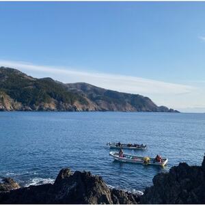 【南三陸町直送】三陸産天然活アワビ 5～6個(600g)　貝むきセット入_魚介・海産物 鮑（アワビ） 貝 あわび_【配送不可地域：離島・北海道・沖縄県・信越、北陸・東海・近畿・中国・四国・九州】【1371847】