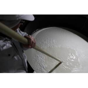 勝山 純米大吟醸 戦勝政宗 竹に雀_酒・アルコール 純米大吟醸 日本酒 sake サケ_【1448506】