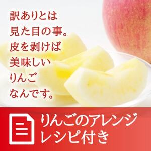 宮城県産  ご家庭用 サンふじ5kg(11～20玉入り)生産者選別済みのリンゴ_果物・フルーツ りんご  リンゴ 林檎_【1461381】