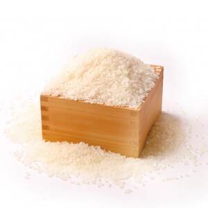 【新米が届く】10坪オーナー権(白米)ひとめぼれ10kg_ 精米 米    ひとめぼれ 米 _【1471089】