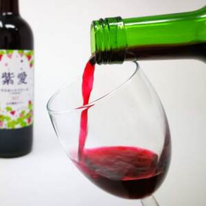 山元いちご農園 苺夢・紫愛セット_酒・アルコール 赤ワイン ワイン   酒・アルコール  ワイン _【1475595】