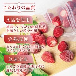 完熟朝摘み冷凍いちご『こおりヒルズ』500g【ヘタなし・急速冷凍】宮城のいちご農家から直送_果物・フルーツ いちご イチゴ 苺_【配送不可地域:離島】【1497567】