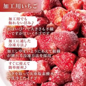 宮城県産 完熟冷凍いちご 2kg(1kg×2袋)【加工用・ご家庭用】ヘタ無しで便利♪通年出荷_果物・フルーツ いちご  イチゴ 苺_【配送不可地域：離島】【1497570】