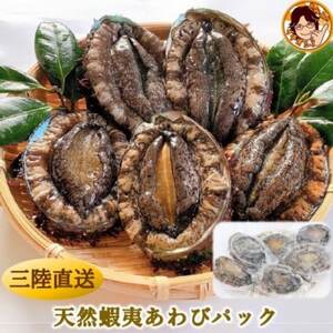 三陸産　天然蝦夷あわび(冷凍)約1kg　6～8個(捌き方・レシピ付き)_魚介・海産物 鮑（アワビ） 貝 あわび_【配送不可地域：離島】【1589193】