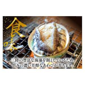 三陸産　天然蝦夷あわび(冷凍)約1kg　6～8個(捌き方・レシピ付き)_魚介・海産物 鮑（アワビ） 貝 あわび_【配送不可地域：離島】【1589193】