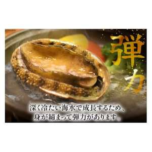 三陸産　天然蝦夷あわび(冷凍)約1kg　6～8個(捌き方・レシピ付き)_魚介・海産物 鮑（アワビ） 貝 あわび_【配送不可地域：離島】【1589193】