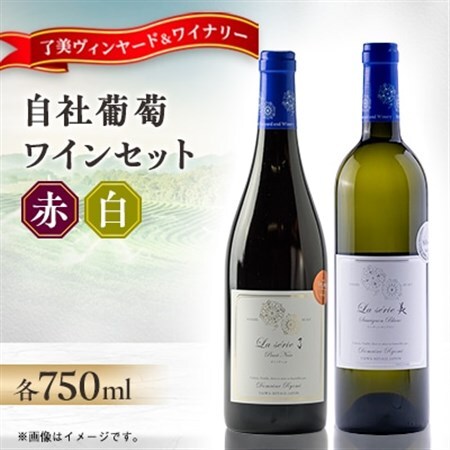 自社葡萄を使用したワイン2本セット  ピノノワール・ソーヴィニヨンブラン　750ml×各1本【1599871】