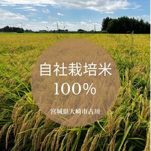 宮寒梅　EXTRA CLASS　純米大吟醸35% 至粋【配送不可地域：離島】【1613600】